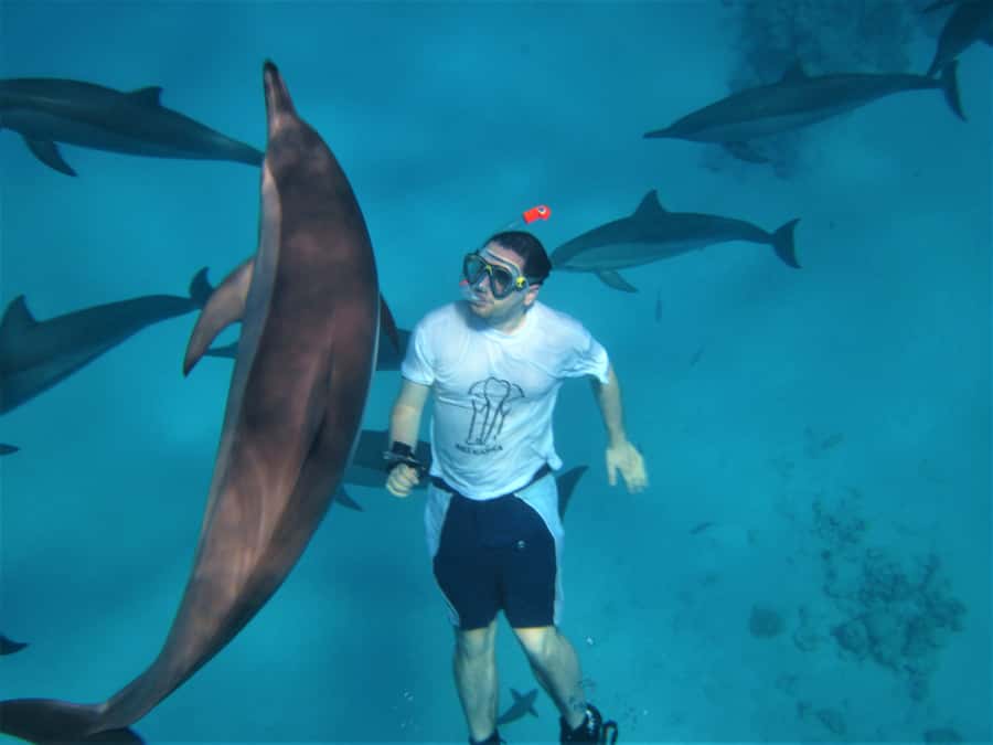 Hurghada: Speedboat Dolphin Watching & Snorkeling with Lunch - A fast start from Hurghada to the open Red Sea
