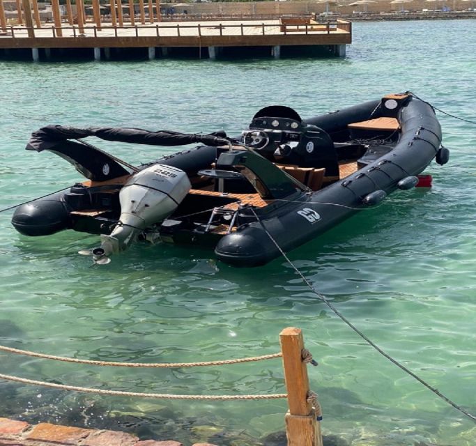 Hurghada: Speedboat Dolphin Watching & Snorkeling with Lunch - Who will enjoy this trip most