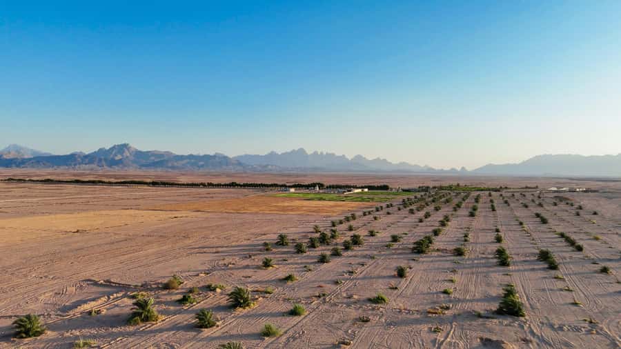 Hurghada: Star Stargazing Desert Adventure by Jeep & Dinner - What to wear and bring