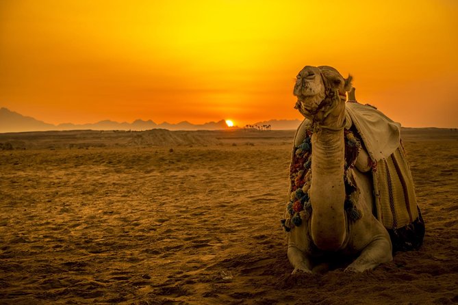 Hurghada: Star Watching Desert Adventure by Jeep with Dinner - Key points to know before booking