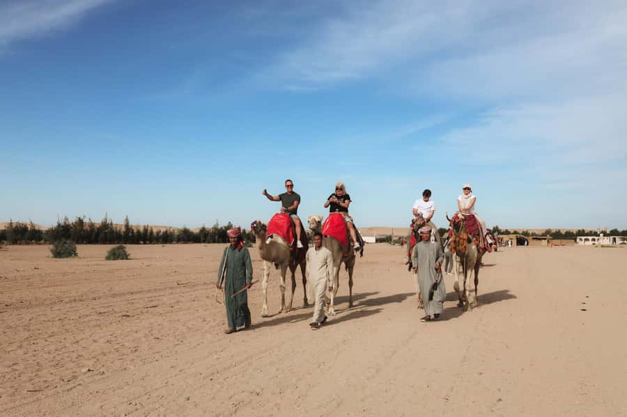 Hurghada: Sunset Camel Ride with Dinner - Key points to know before you book