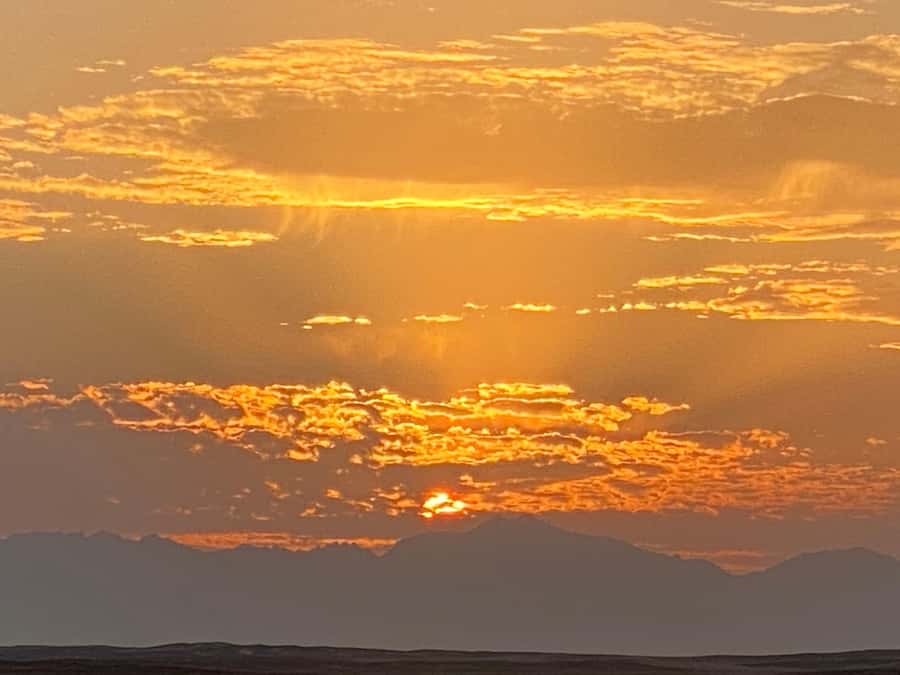 Hurghada: Sunset Camel Ride with Dinner - One hour on camelback before sunset