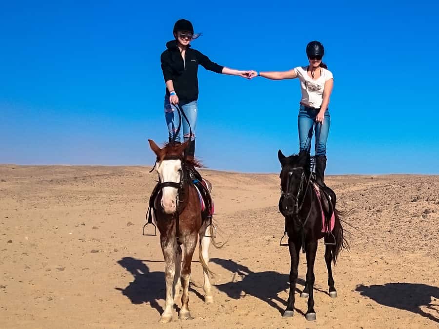 Hurghada: Sunset Sea, Desert Horse W Opt, Dinner, Stargazing - Should you book the Hurghada horse ride?