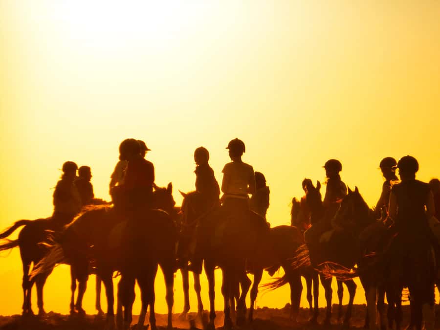 Hurghada: Sunset Sea, Desert Horse W Opt, Dinner, Stargazing - How much value do you get for $29?