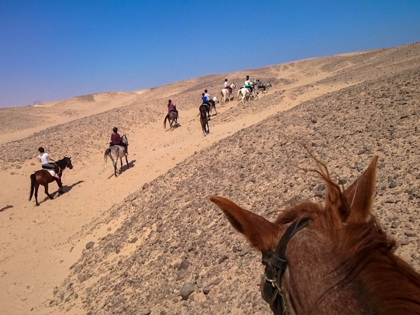Hurghada: Sunset Sea, Desert Horse W Opt, Dinner, Stargazing - Practical concerns you should not ignore