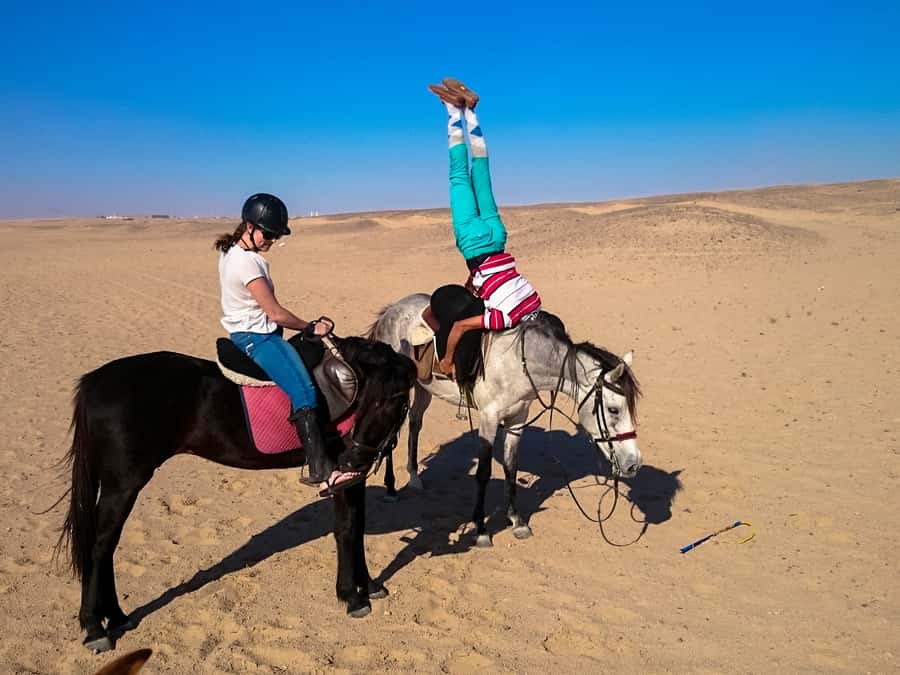 Hurghada: Sunset Sea, Desert Horse W Opt, Dinner, Stargazing - Who will enjoy this most?