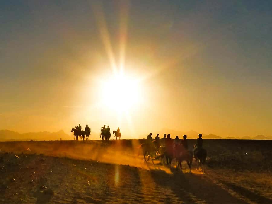 Hurghada: Sunset Sea, Desert Horse W Opt, Dinner, Stargazing - What happens before you mount