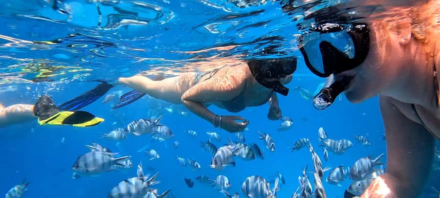 Hurghada: White Island Speedboat Tour, Snorkeling, & Lunch - Return ride, food, and group atmosphere