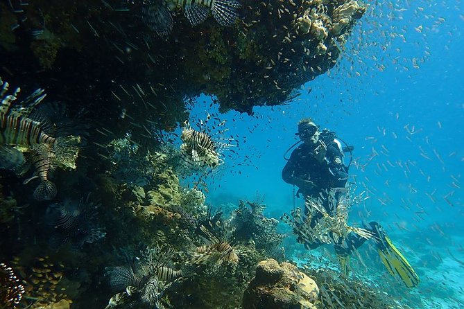 Intro Diving 2 Stops For Beginners with Pick-up and Lunch - Hurghada - Should you book the Hurghada scuba introduction?