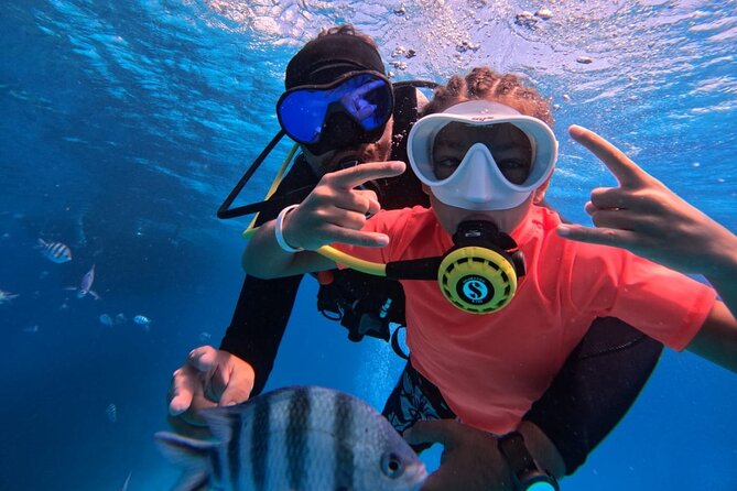 Intro Diving Beginner and Discover Red Sea Underwater - Two underwater sessions make this a useful first try