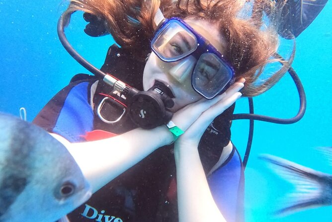 Intro Diving Beginner and Discover Red Sea Underwater - An 8:00 AM pickup and a morning on the Red Sea