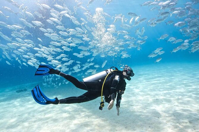 Intro Diving for Beginners 2 Stops Diving with Lunch - Hurghada - How beginner-friendly is it?