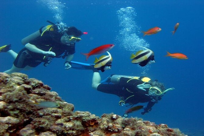 Intro Diving for Beginners 2 Stops Diving with Lunch - Hurghada - The later site and the shipwreck question