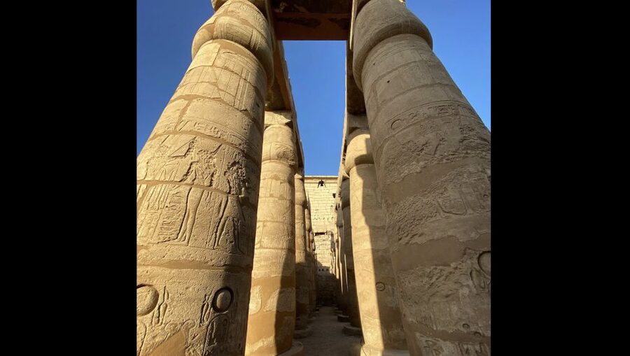 Luxor: Karnak and Luxor Temples Private Half-Day Tour - Who should book this Luxor tour