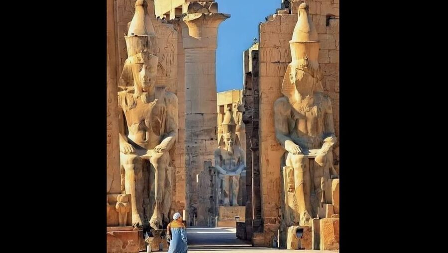 Luxor: Karnak and Luxor Temples Private Half-Day Tour - What to bring for the temple visit