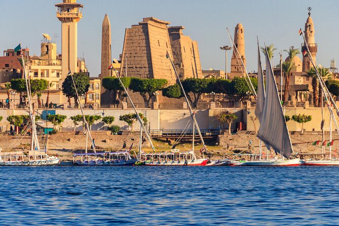 Luxor Private Day Trip from Cairo by Plane - What the private guide adds