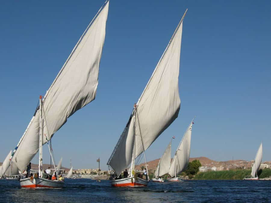 Luxor: Private Felucca Boat Trip with Hotel Pickup - Who will enjoy this Luxor boat trip?