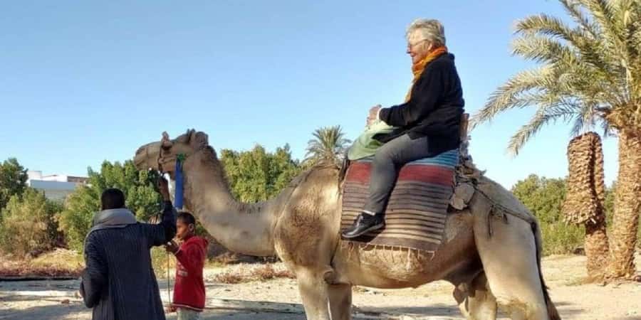 Luxor: Scenic Camel or Horse Ride - Key points before you book
