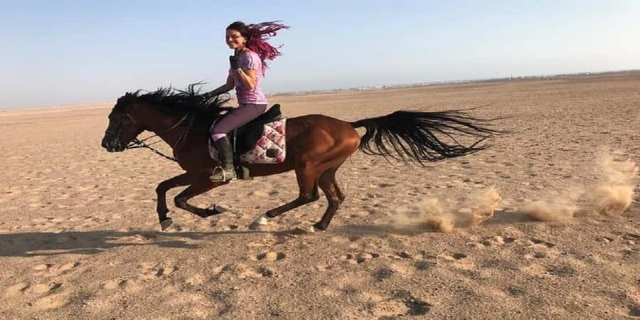 Luxor: Scenic Camel or Horse Ride - What to bring and how to prepare