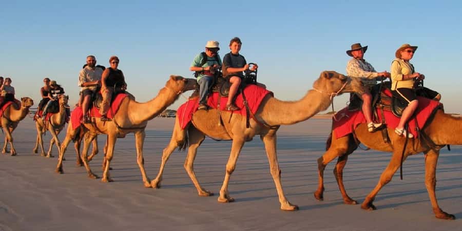 Luxor: Scenic Camel or Horse Ride - A quiet hour beyond central Luxor