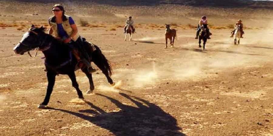Luxor: Scenic Camel or Horse Ride - How the $15 price measures up