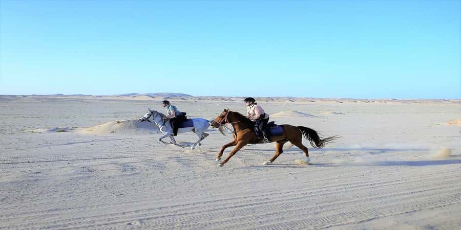 Luxor: Scenic Camel or Horse Ride - The transport issue you should take seriously
