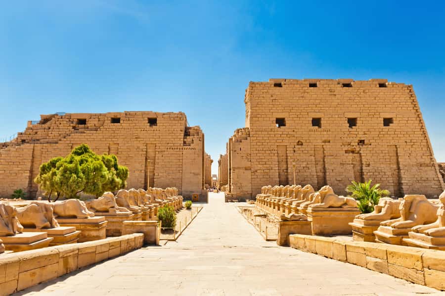 Luxor: Shared Full-Day Tour to Luxor West and East Banks - Guides, vehicles, and the shared-group experience