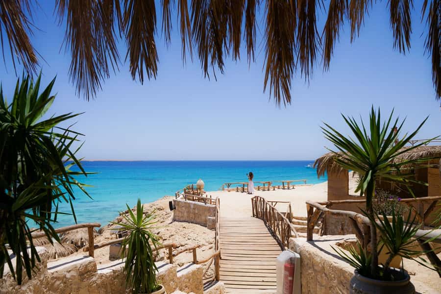 Mahmya Island: Red Sea Sailing Experience - Service and the feel of the day