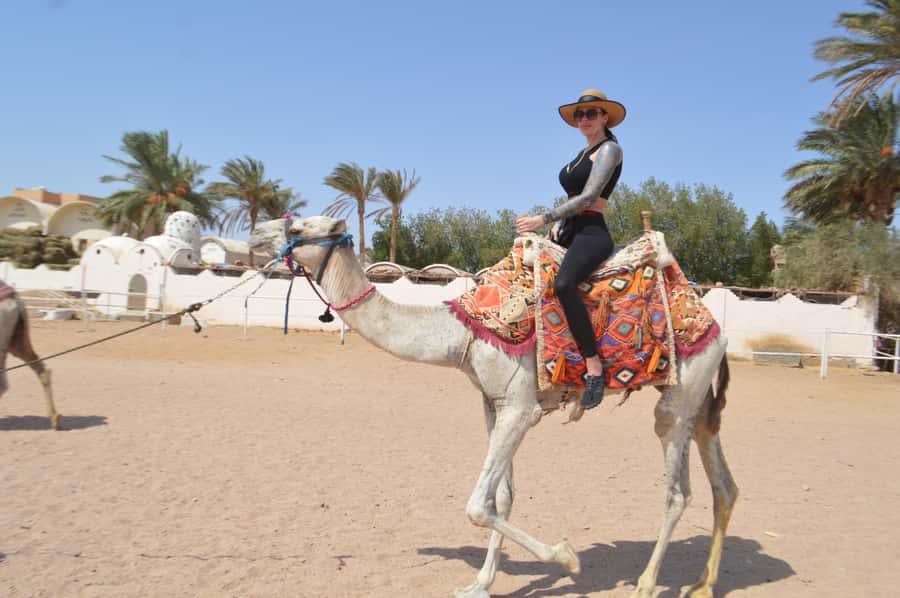 Makadi Bay: ATV, Sea View, Camel, Stargazing, Dinner & Show - Who will enjoy this Makadi Bay excursion?