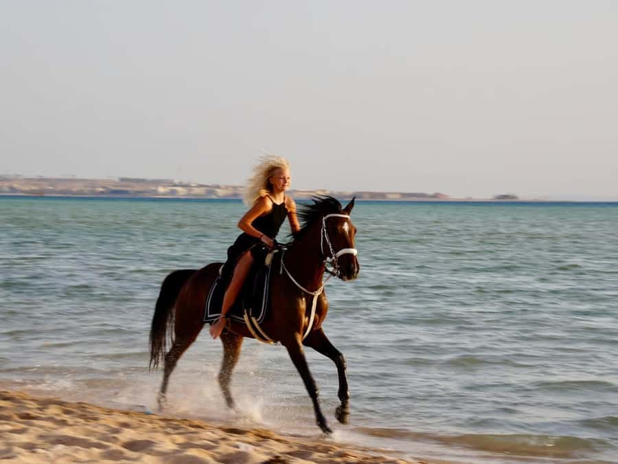 Makadi Bay: Horse Riding in Desert & Sea w Guide + Transfers - From Hurghada to Makadi Bay