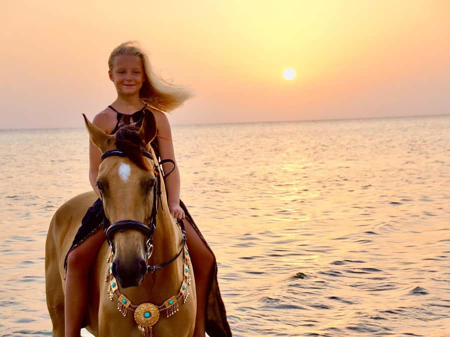 Makadi Bay: Horse Riding in Desert & Sea w Guide + Transfers - Two hours across golden sand