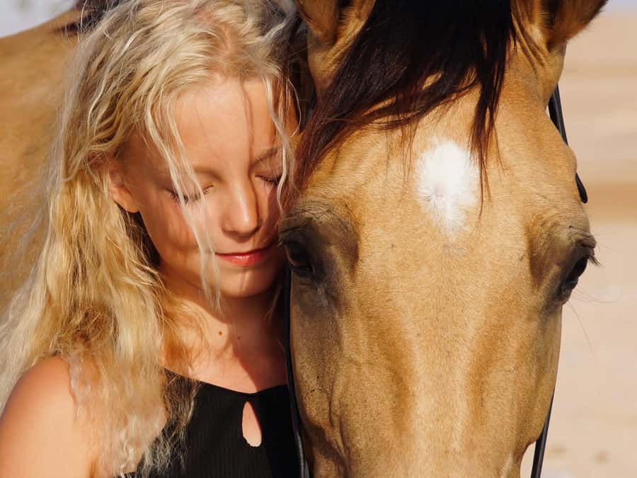 Makadi Bay: Horse Riding in Desert & Sea w Guide + Transfers - Where the desert meets the Red Sea