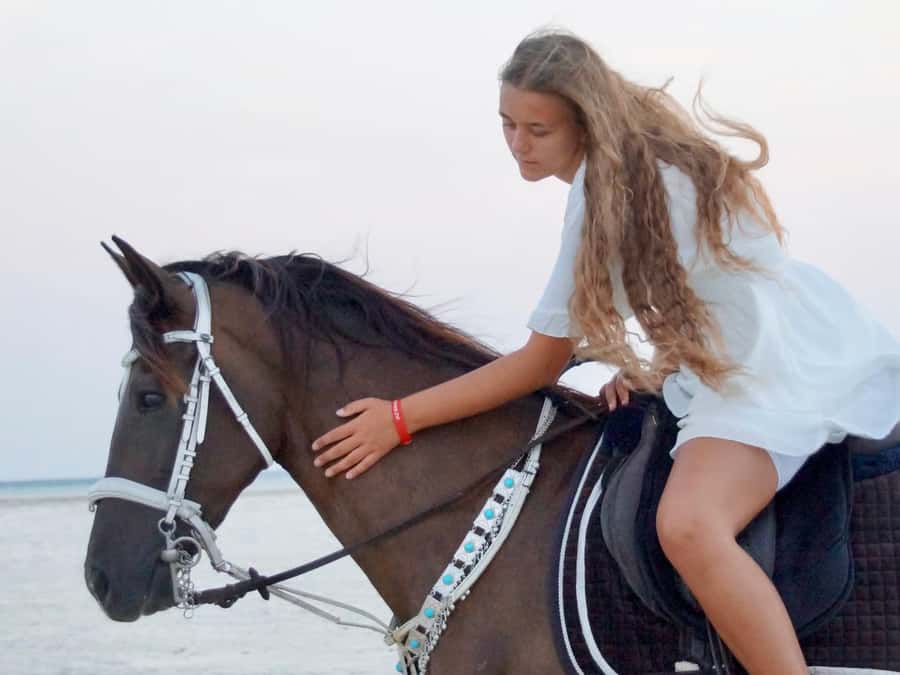 Makadi Bay: Horse Riding in Desert & Sea w Guide + Transfers - Guides, control, and rider confidence