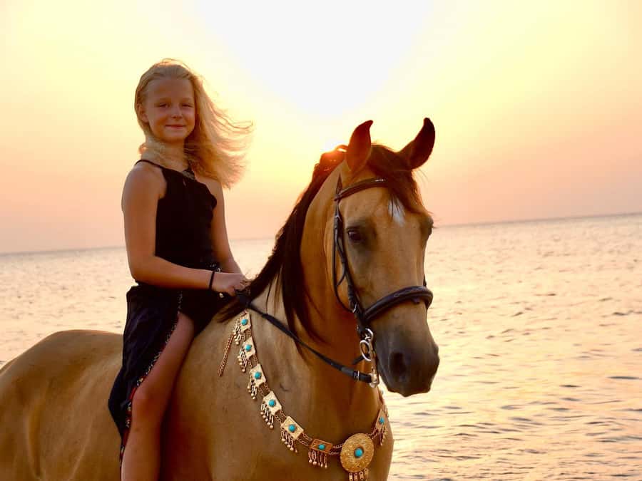Makadi Bay: Horse Riding in Desert & Sea w Guide + Transfers - Safety gear and the details to confirm