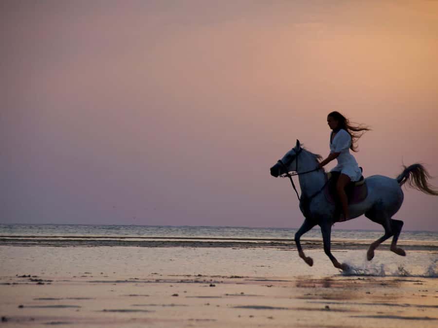 Makadi Bay: Horse Riding in Desert & Sea w Guide + Transfers - Who will enjoy this Makadi Bay ride