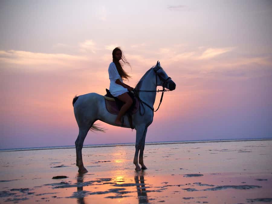 Makadi Bay: Horse Riding in Desert & Sea w Guide + Transfers - Booking, cancellation, and practical timing