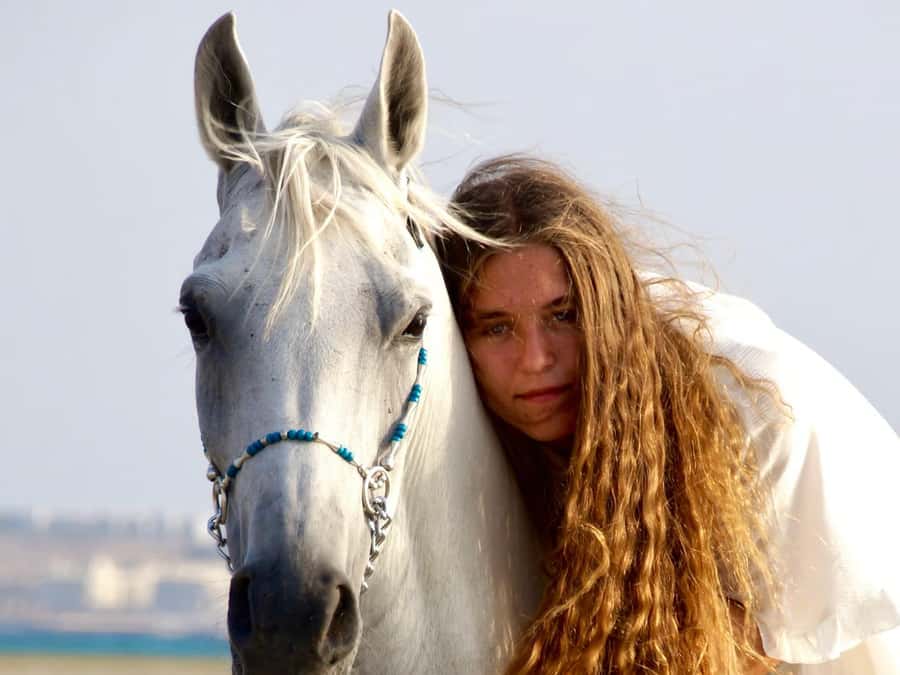 Makadi Bay: Horse Riding in Desert & Sea w Guide + Transfers - Meeting the horses before the desert route