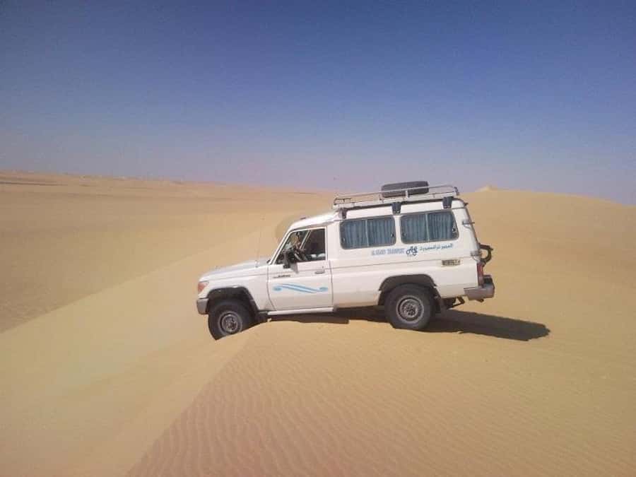 Makadi Bay: Jeep Safari Adventure with Bedouin guide - Who should book this safari
