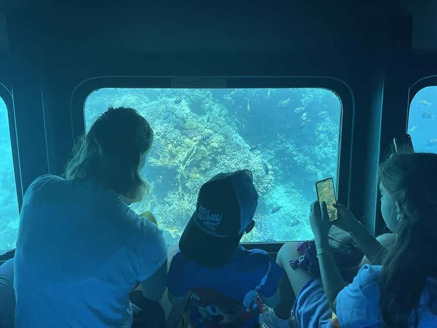 Makadi Bay: Royal Seascope Submarine Cruise & Snorkel stop - What the Royal Seascope trip actually offers