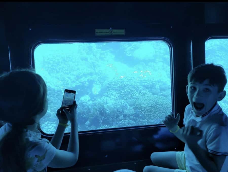 Makadi Bay: Royal Seascope Submarine Cruise & Snorkel stop - The 20-minute snorkeling stop