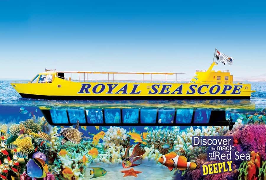 Makadi Bay: Royal Seascope Submarine Cruise & Snorkel stop - The 45-minute underwater viewing session