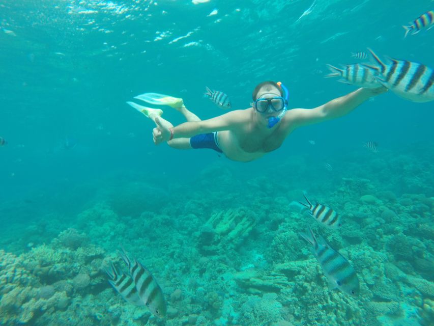 Makadi Bay: Snorkelling and Diving Island Trip - Snorkeling over coral reefs