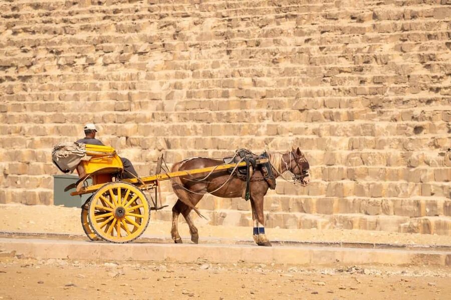 Marsa Alam: Ancient Cairo & Giza Pyramids Day Trip by Plane - Lunch at a Cairo buffet
