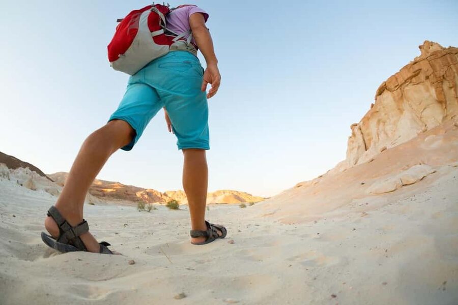 Marsa Alam Bedouin Nights: Jeep Safari, Dinner & Stargazing - The briefest camel ride of the evening