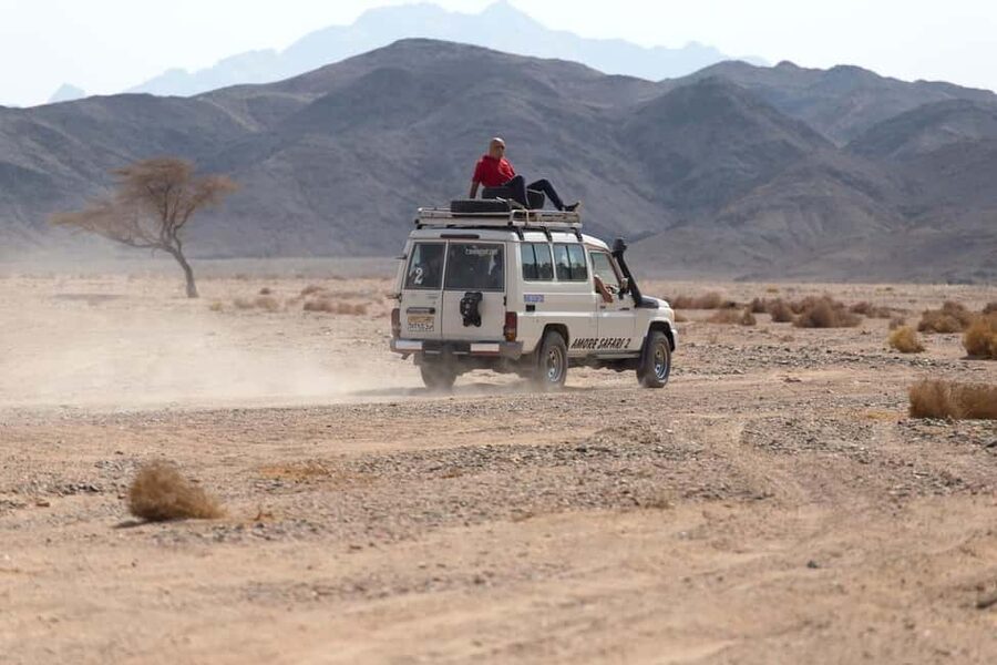 Marsa Alam Bedouin Nights: Jeep Safari, Dinner & Stargazing - What the $76 price really covers