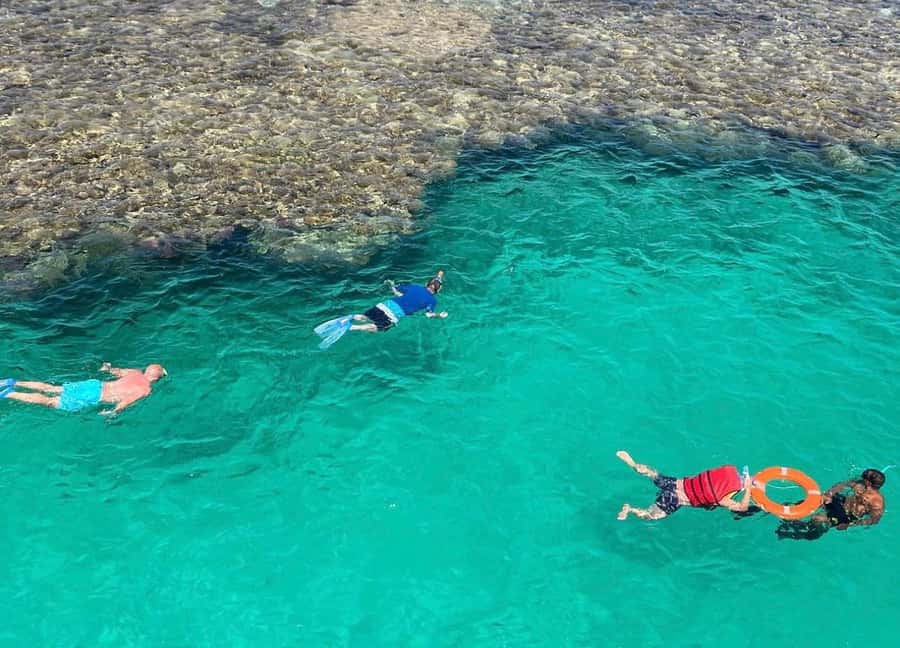 Marsa Alam: Elite vip Turtle bay snorkeling with BBQ Lunch - What to bring and how to prepare