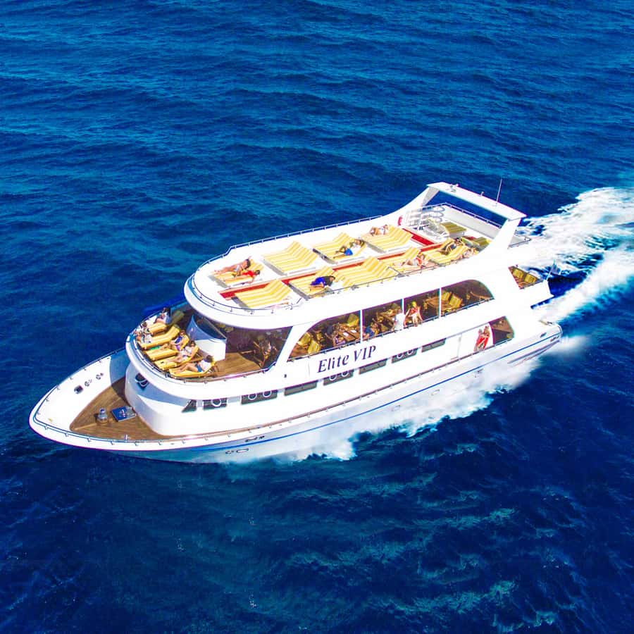Marsa Alam: Elite vip Turtle bay snorkeling with BBQ Lunch - Getting on board the Elite VIP boat