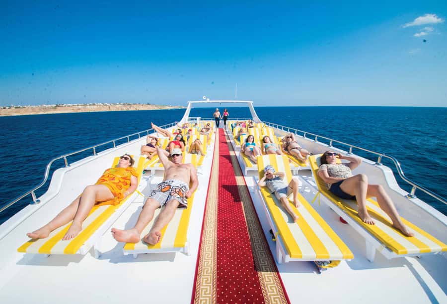 Marsa Alam: Elite vip Turtle bay snorkeling with BBQ Lunch - Wildlife is the prize, but luck controls the day