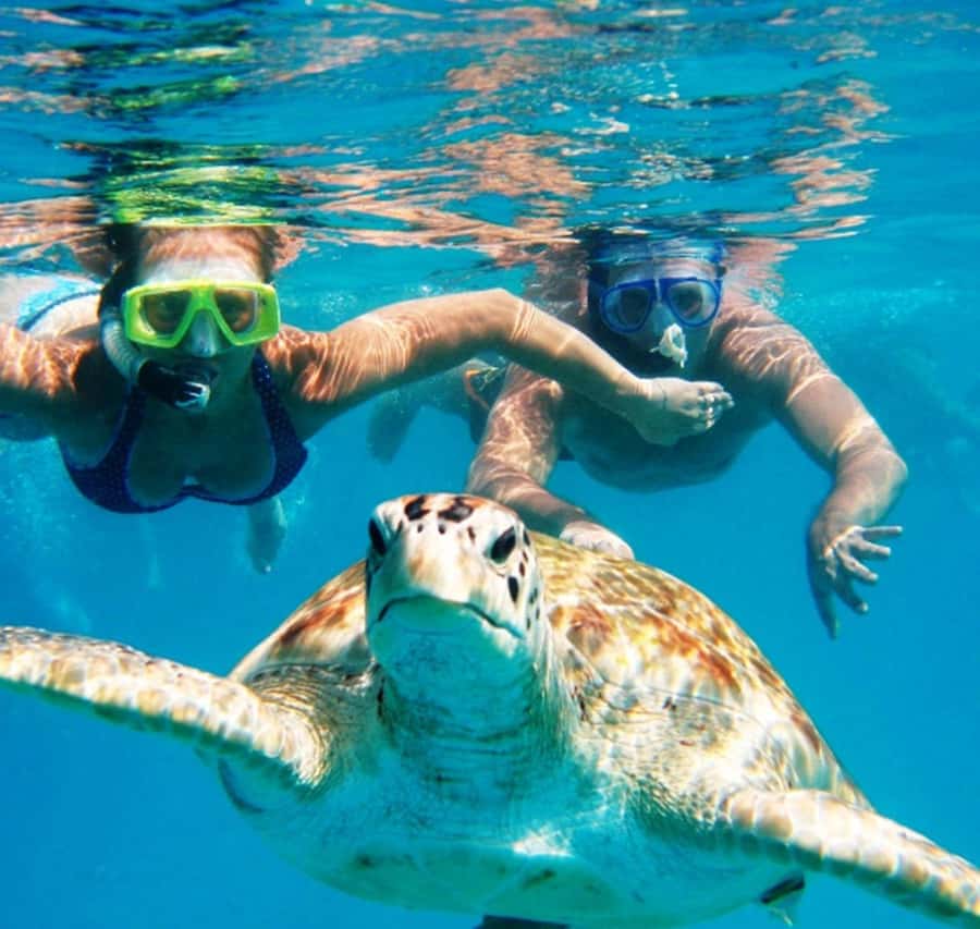 Marsa Alam: Pirates Premium Boat to turtle bay with lunch - Guides, safety, and languages