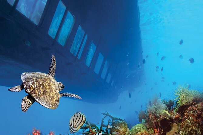 Marsa Alam: Royal Seascope Submarine Cruise with Pickup - Seeing the Red Sea without getting wet